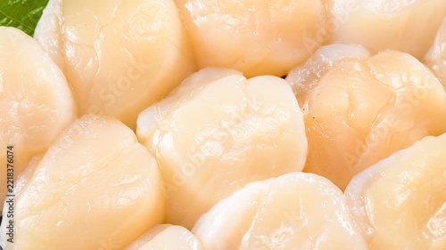 Fresh scallop sashimi featuring delicate raw adductor muscle showcased in premium Japanese fine dining