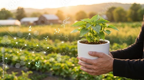 Scientist holding potted plant with DNA helix and molecular structure overlays symbolizing agricultural biotechnology genetic modification crop improvement and sustainable farming