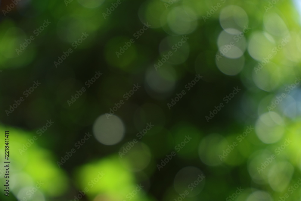 Fototapeta premium Blurred green foliage with circular bokeh lights
