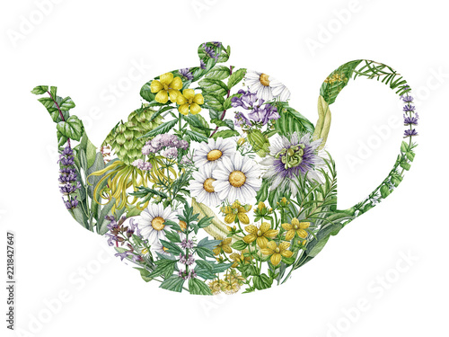 Herbal teapot silhouette filled with chamomile, lavender, passionflower, mint and apothecary herbs isolated background. Hand drawn teapot watercolor illustration for tea packaging, branding and decor.