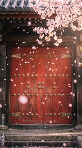 Traditional Japanese Temple Gate with Cherry Blossoms and Petals Falling