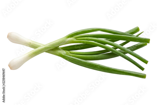 Fresh Green Onions Isolated on Transparent Background