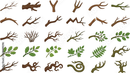 Detailed branches with leaves and dry twigs for nature design projects and forest ecology themed graphic assets