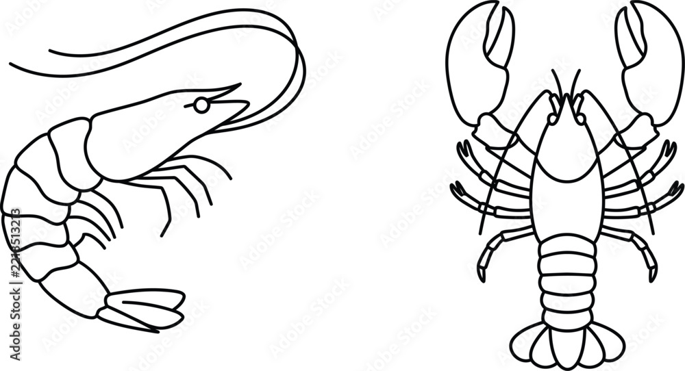 Fototapeta premium Minimalist seafood menu vector illustrations featuring clean black line art outlines of a single fresh shrimp and a whole lobster isolated on white