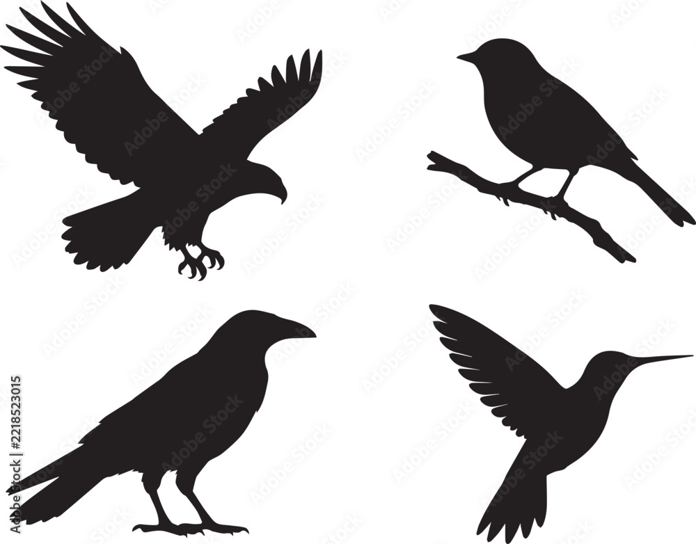 Fototapeta premium Black Silhouettes of birds isolated on white background
