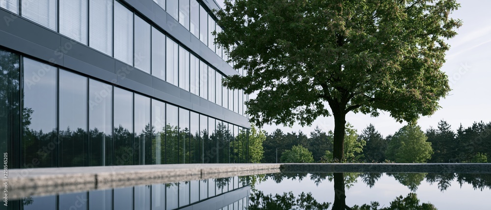 Fototapeta premium Modern glass office building exterior with large deciduous tree reflected in still water pool