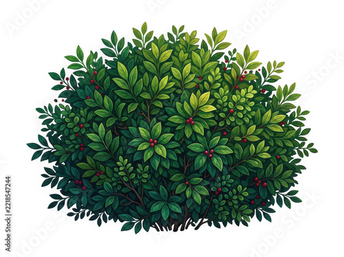 Berry bush with red fruits isolated on transparent