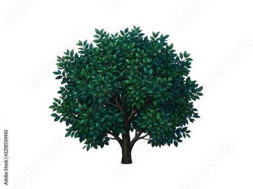 Lush green tree isolated on transparent background