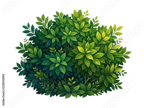 Dense green shrubbery isolated on transparent file