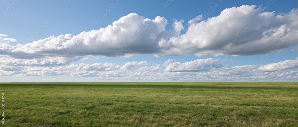 Fototapeta premium Wide open grass field stretching to low horizon under blue sky with white clouds
