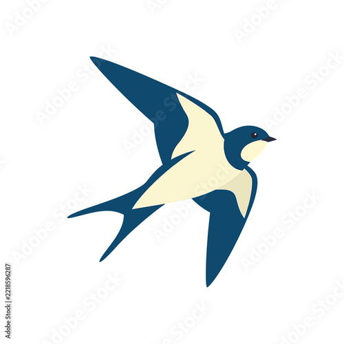 Fotografie Barn swallow bird flying in silhouette style with blue and cream feathers isolated on transparent background for avian wildlife projects and nature illustration