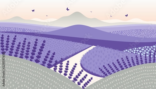 Lavender Field Landscape with Rolling Hills and Peaceful Countryside