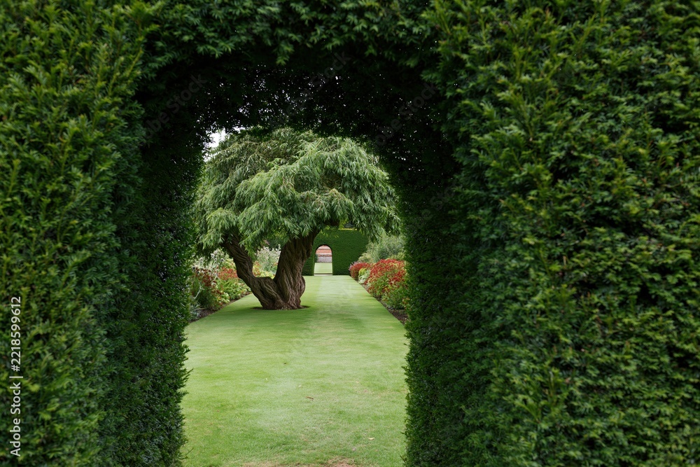Fototapeta premium The Garden Archway Framing a Tree in a Lush Green Landscape