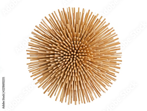 Circular Arrangement of Wooden Skewers Sea Urchin Shape