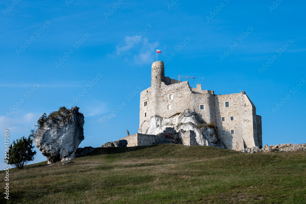 Fototapeta premium Zamek Mirów. Jura Krakowsko-Częstochowska. Polska.