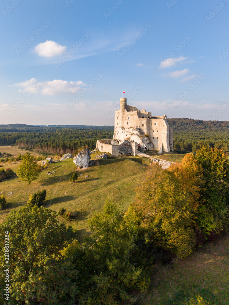 Fototapeta premium Zamek Mirów. Jura Krakowsko-Częstochowska. Polska.