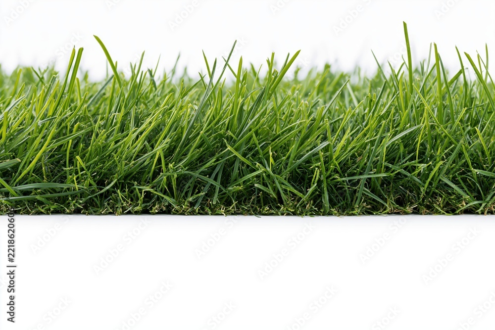Naklejka premium The lush green grass blades in a pristine lawn scene