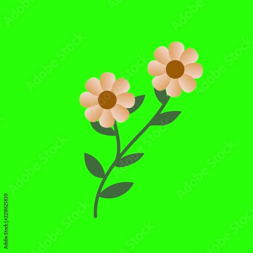 Animated Floral Stem Illustration