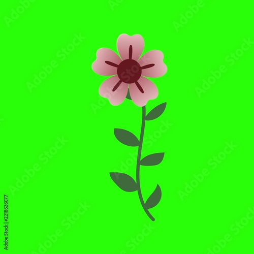 Animated Floral Stem Illustration