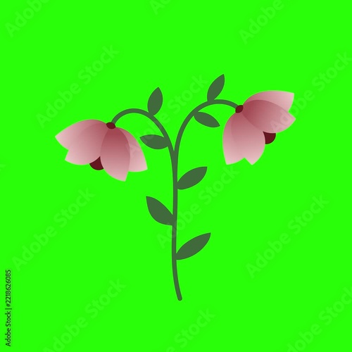 Animated Floral Stem Illustration