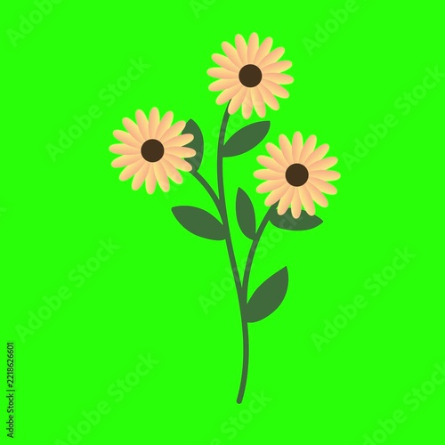 Animated Floral Stem Illustration