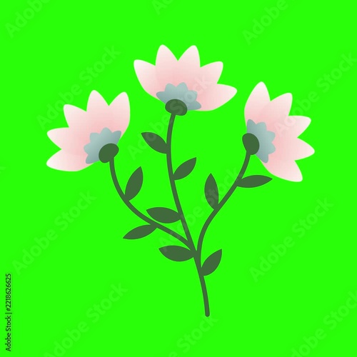 Animated Floral Stem Illustration