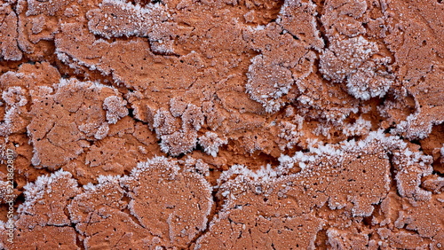 Brick Red Terracotta with White Frost Dusting Background