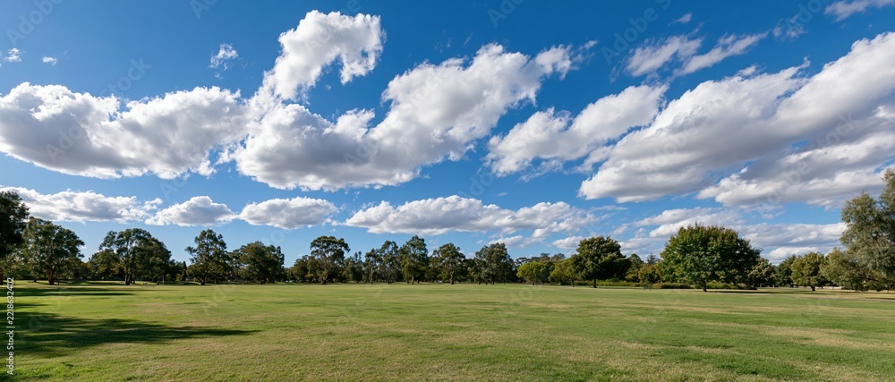 Naklejka premium Wide open park with mown grass stretching to a tree line under a blue sky with white clouds