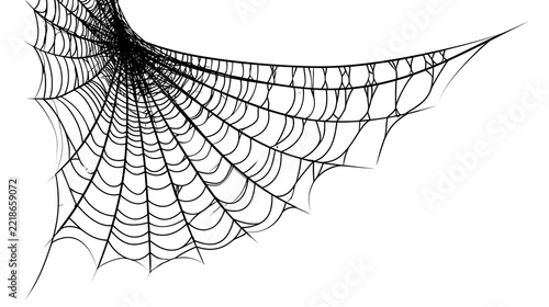 Detailed black spider web corner pattern with intricate radial silk threads