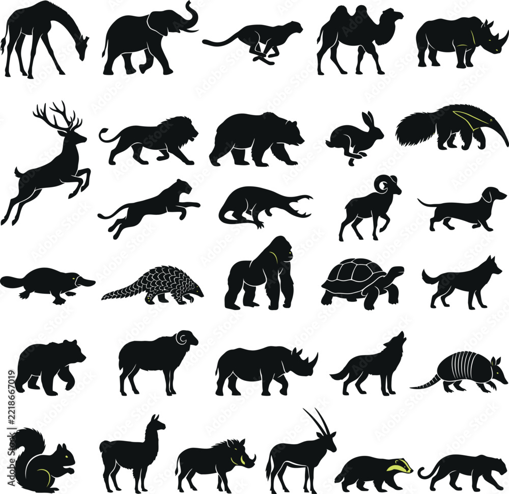 Fototapeta premium A diverse grouping of dark silhouetted wildlife animals featuring lions elephants deer bears gorillas and many other fascinating creatures in nature
