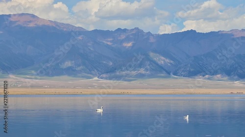 Swans on Sayram Lake Beneath Clouds, Xinjiang Province, China