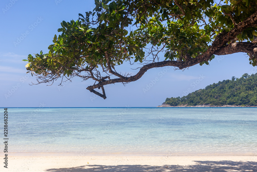 Fototapeta premium A large leafy tree branch extends over a sandy beach with clear turquoise water at Koh Surin, Thailand.