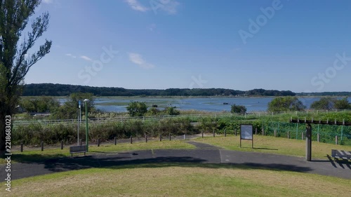 双子公園から見た青空と緑に囲まれた千葉県印旛沼の自然風景