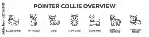 Obraz na plátně Pointer Collie Overview with icon of Basset Hound, Rottweiler, Corgi, Chow chow,