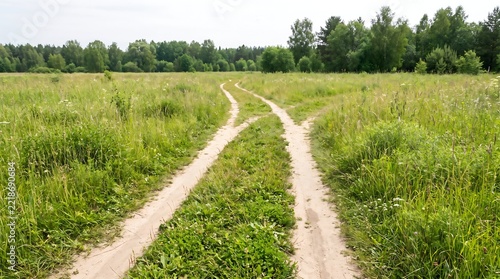 Dirt road splitting into two paths through a green summer meadow with