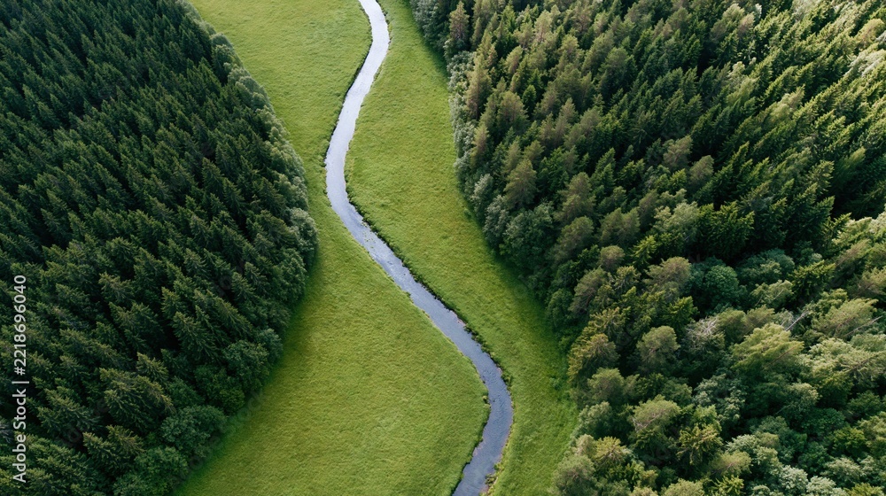 Fototapeta premium The Meandering River Through Lush Green Valley and Dense Forest From Aerial Perspective