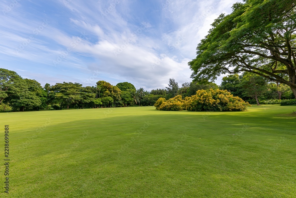 Fototapeta premium The Expansive Green Park Lawn Under a Bright Blue Sky