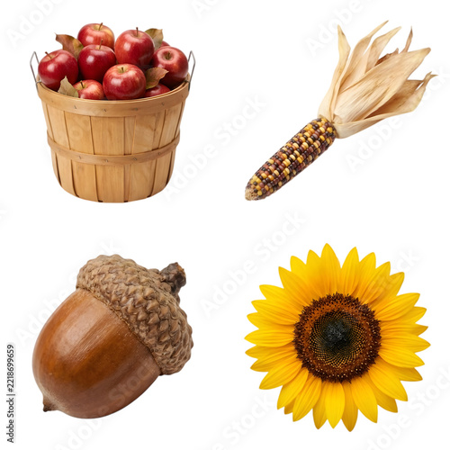 Autumn harvest elements set flat vector illustration with apple basket, corn cob, acorn and sunflower in 2x2 grid