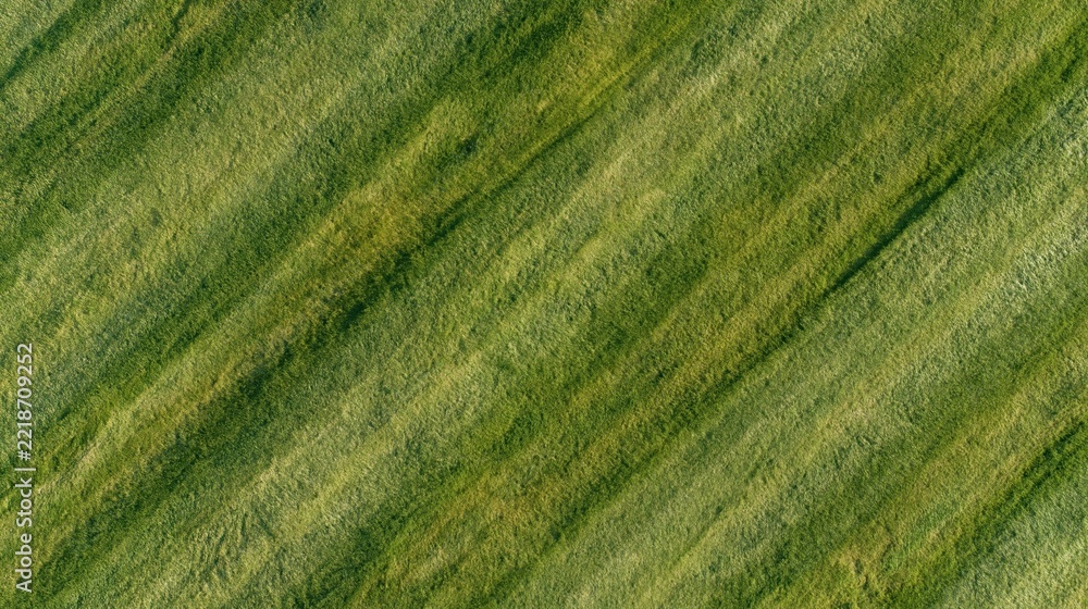 Naklejka premium Aerial top-down view of a freshly mowed grass field with diagonal stripes