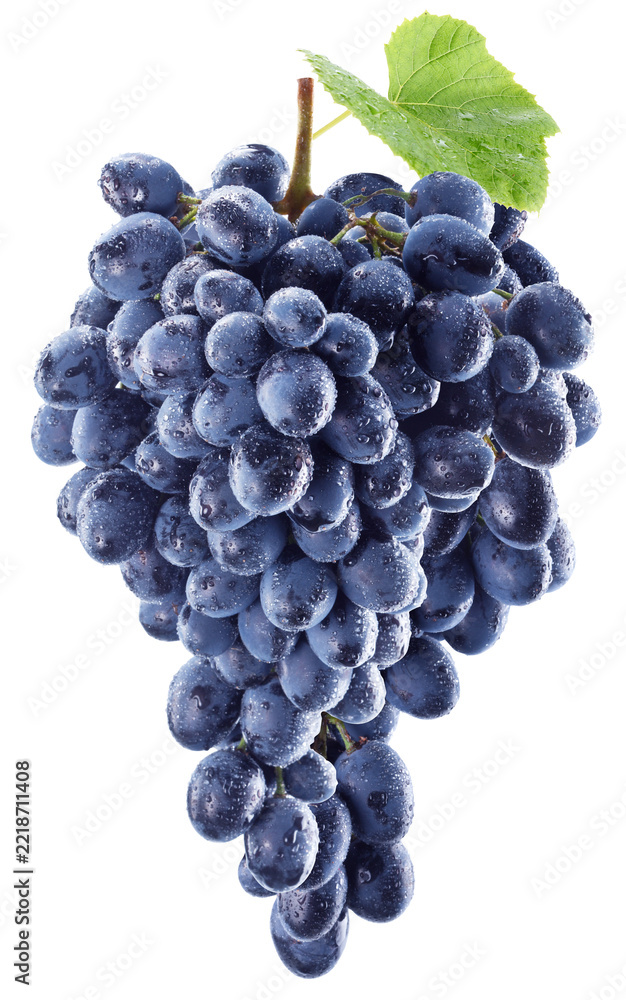 Fototapeta premium Cluster of dark blue purple grapes with water drops. Clipping p