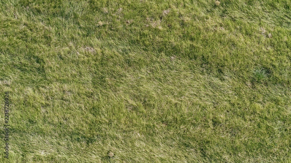 Fototapeta premium Aerial top-down view of a freshly mowed grass field filling the frame