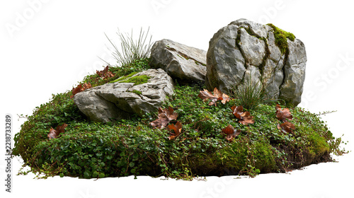Weathered grey boulders with green moss and fallen autumn leaves on soil mound