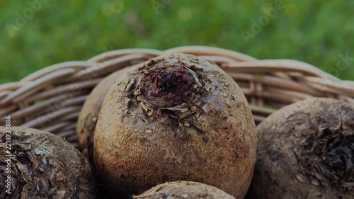 Fresh beetroots in a basket