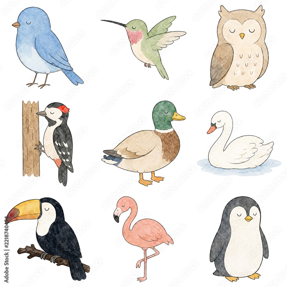 Naklejka premium Watercolor bird collection, colorful feathered characters, soft painted feathers, perched and flying poses, slender beaks, soft washes, varied wildlife illustrations