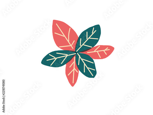 Poinsettia flower with six red and green leaves and delicate yellow veins