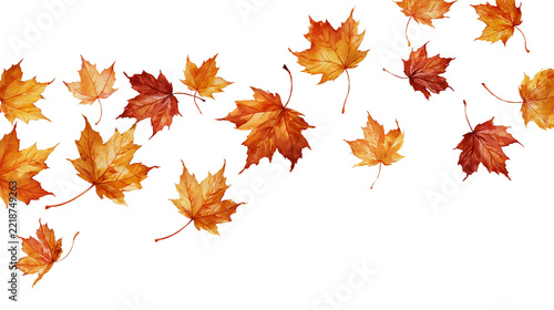 Falling vibrant orange and red maple leaves in autumn season