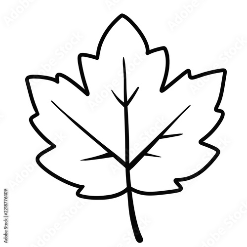 vector illustration of a leaf