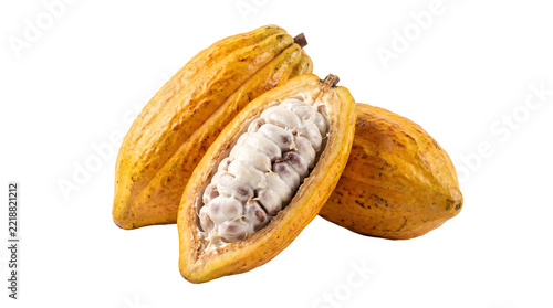 Whole and halved ripe yellow cacao pods with visible white pulp and beans, isolated on a transparent background, representing chocolate ingredients and organic farming