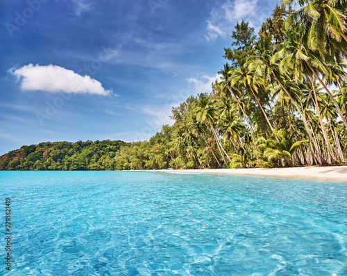 Tropical view with coconut palms and beautiful beach, Koh Kood island in Thailand