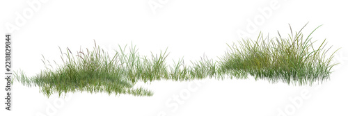 grass isolated on white background/Sharp high-resolution green grass meadow isolated on a white background.